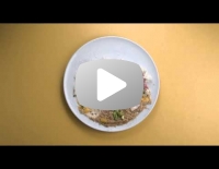 Polpette