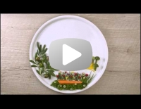 Olio e Olive